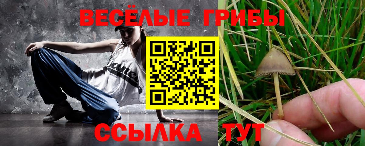 Псилоцибиновые грибы Psilocybe Когалым