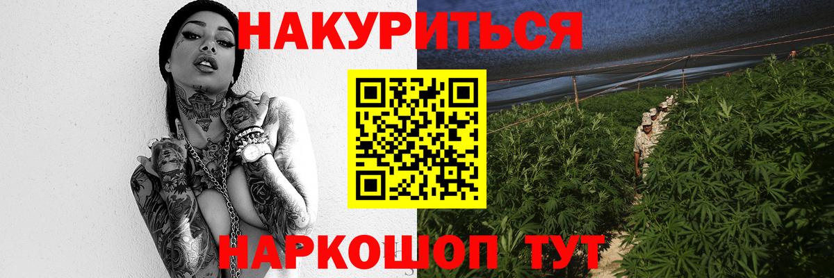 Шишки марихуана тримм  Конопля планчик  Вход с VPN  Шишки марихуана семена  Шишки марихуана конопля  Когалым 